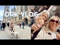 This Is Home! York Vlog Uk - British Countryside - Brow Lamination Review - Yorkshire Vlog!
