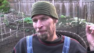 Integrity; Accepting Life; Sleeping and Rebirth