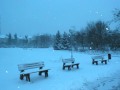 Blue Danube Bowland Cameron