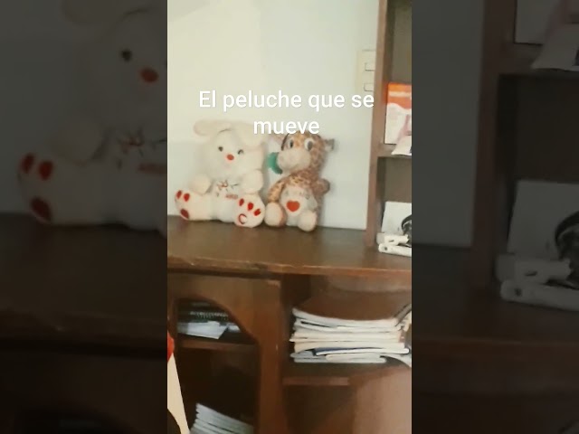 Vídeo relacionado con AUNGCSHE Peluche Jirafa, Llevando Bufanda Jirafa Peluche, Lindo Juguete Peluche, Suave y Esponjoso, Abrazar y Jugar, un Gran Regalo de Cumpleaños(Jirafa)