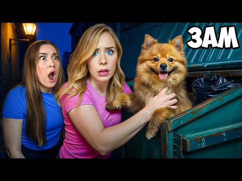 WE FOUND A LOST DOG IN A DUMPSTER AT 3 AM…