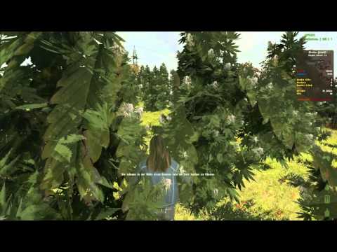 Ganja Mann | Song by Sarazar