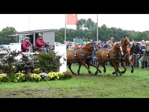 Breda 2015 - Thomas Bar OB1