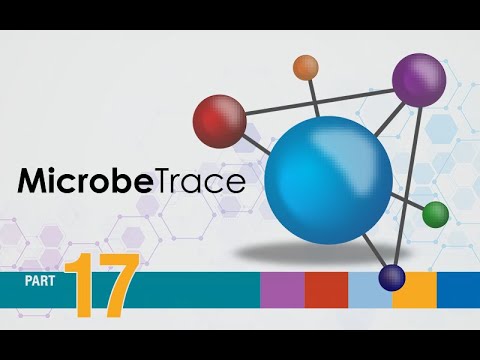 Using MicrobeTrace - Phylogenetic tree view