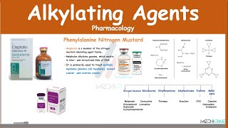 Alkylating Agents  Pharmacology (Examples, MOA, Adverse Effects)