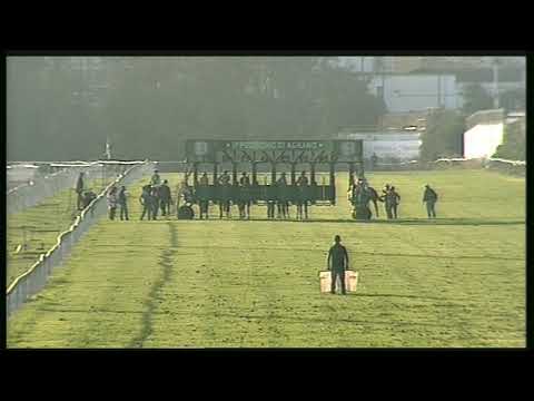 Galoppo 09/11/2020 - 5ª corsa