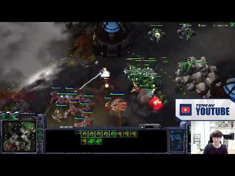 Just micro like Bunny