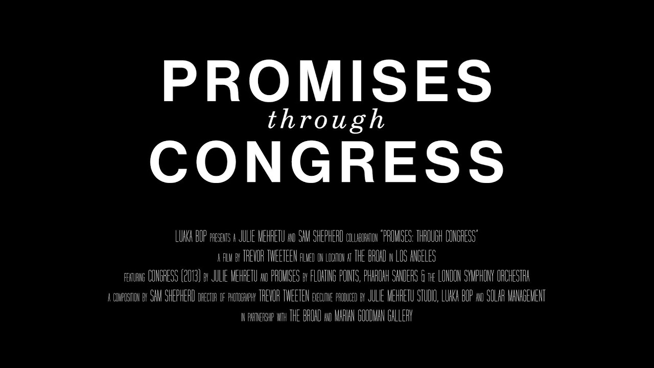 Promises: Through Congress (Official Trailer)