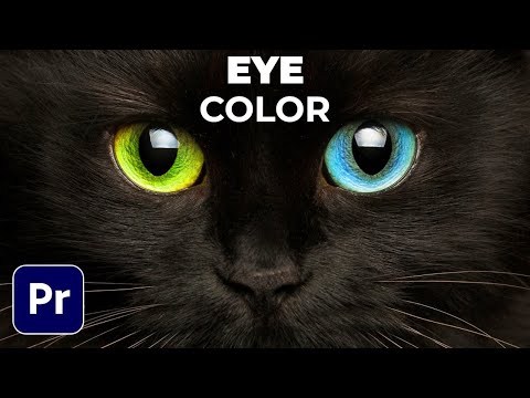 DOLLY ZOOM Vertigo Effect Tutorial In Premiere Pro