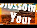 Blossoms- Your Girlfriend lyrics