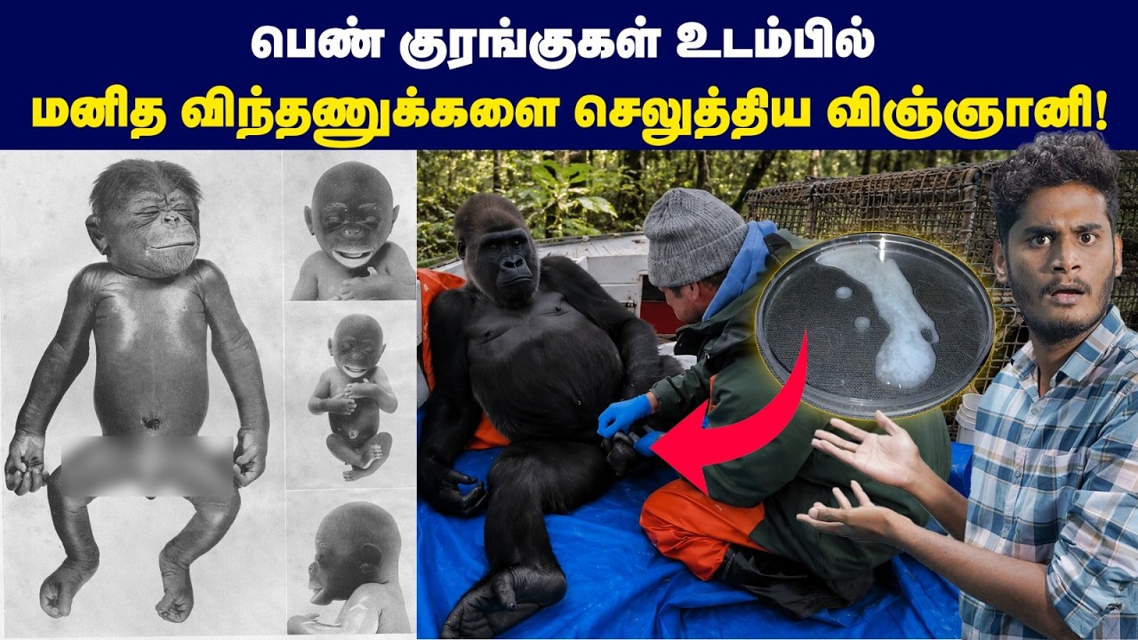 😱🤔குரங்கின் பிறப்புறுப்பை மனித உடம்பில் பொருத்தி?