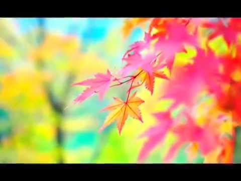 Vinod K Sharma Ghurur - Poem Written and Voiced