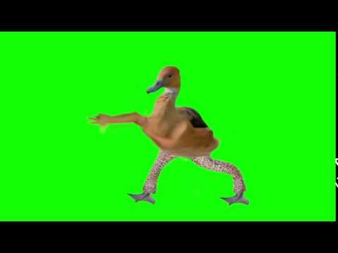 Dança do Pato louco