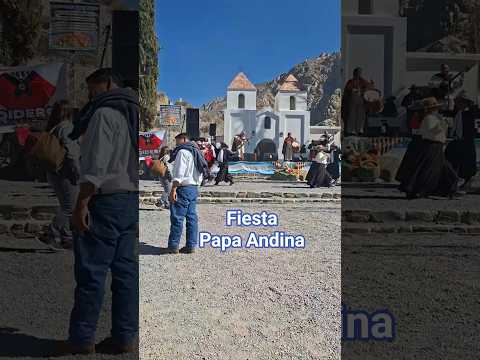 Fiesta y Feria  de la Papa Andina en Alfarcito.  #papaandina #alfarcito #campoquijano #salta