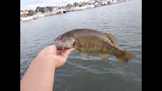 Multi Species Fishing Lake Erie