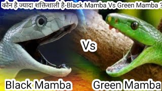 Who is Stronger Black Mamba Vs Green Mamba Green m