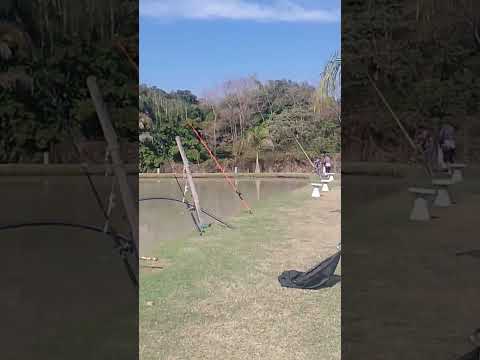 lindo lugar pesqueiro família Marques -santo Antônio de posse #pescaria #fishing #pescasub #life 😍