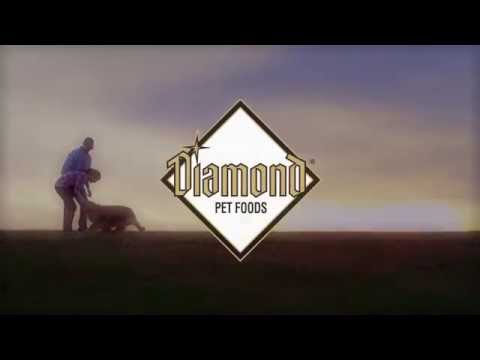Diamond Dog Food