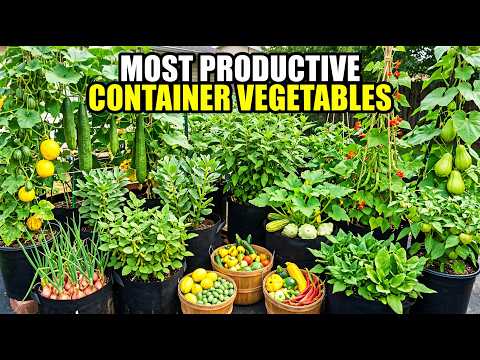 15 Vegetables That Produce The Most In Containers