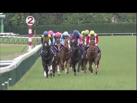 2019 Tenno Sho-Spring (G1)