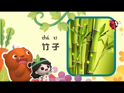 竹子的意思