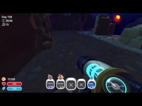 How get 100 gold plorts