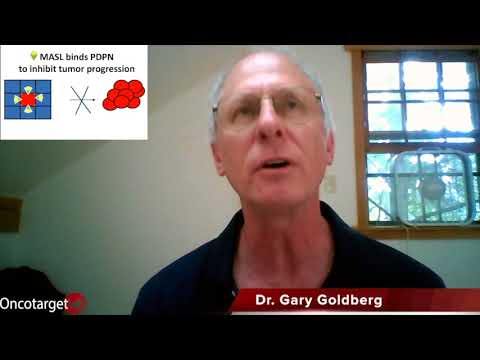 interview - Interview with Dr. Gary Goldberg from Rowan University