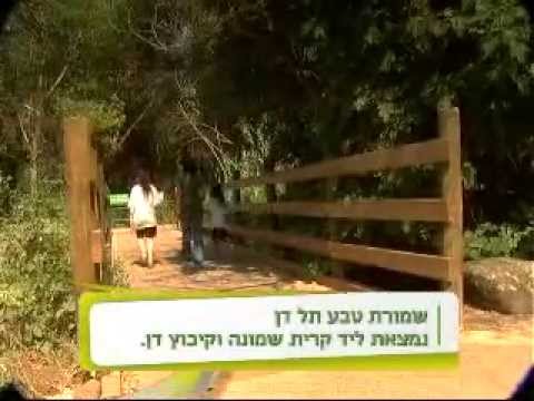 תמונה של محافظة طبيعية تل دان