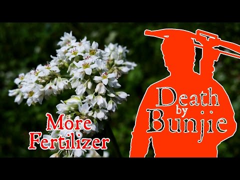 Using JOLT Fertilizer from Antler King to BOOST Your Foodplots!