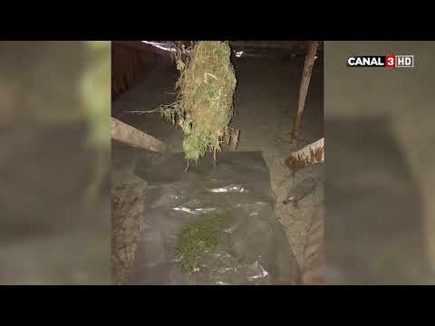 Unitatea de gardă - 23 octombrie 2019