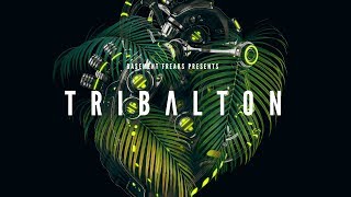 Video thumbnail for EDM and Pop Production - Tribalton by Basement Freaks by Black Octopus Sound