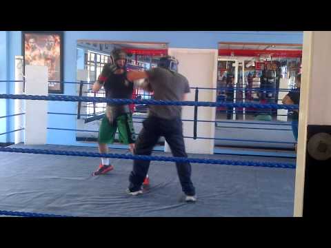 Ollie Platt and Hekkie Budler (IBO & WBA champion) Boxing