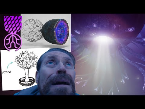 THE VEIL IS A COSMIC MUSHROOM! (Destiny 2 Lore Theory)