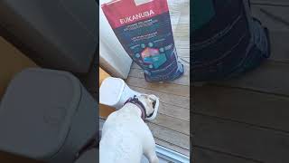 Eukanuba Growing Puppy Large Breed pour chiot de Grande Taille zoomalia