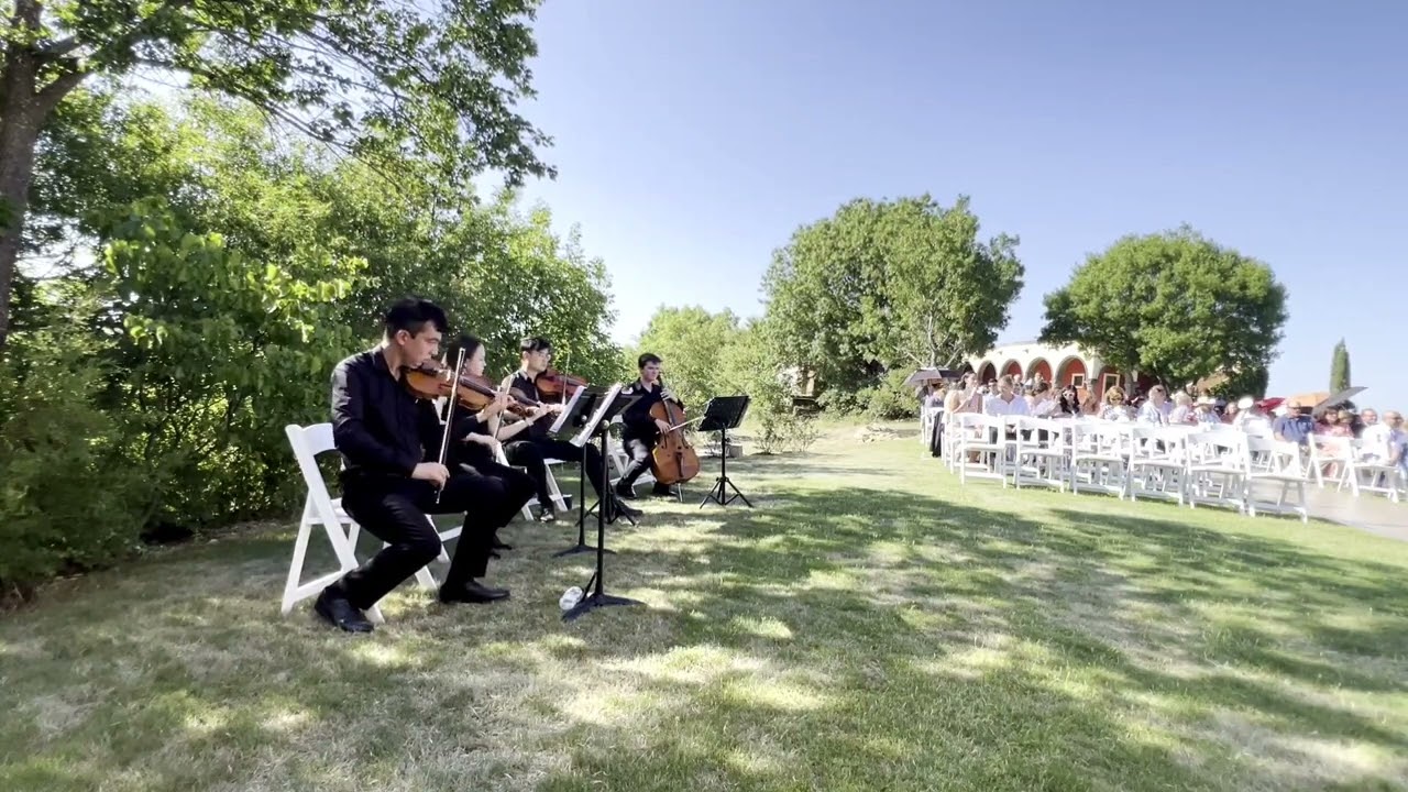 Promotional video thumbnail 3 for Wedding Ensemble