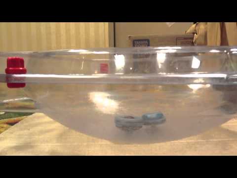 Battle at No Limit Holdem'!