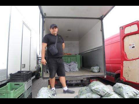 Bronisze 22.07.21: rekordowe ceny koperku i kalafiora