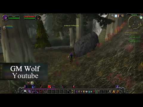 Endlose Wut Rune | Endless Rage Rune | Nachtelf Krieger Rune | WoW Season of Discovery