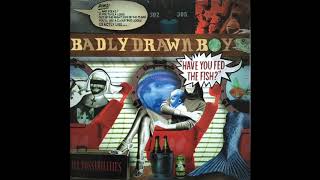 Badly Drawn Boy - You Were Right