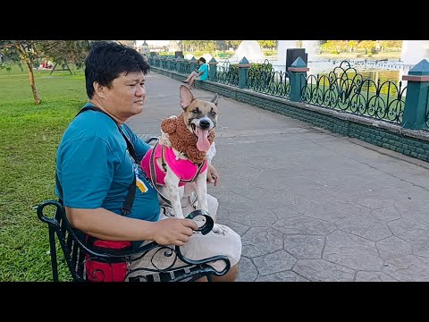 YAYA AT YAYO ni MASHA