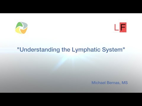 Understanding the Lymphatic System 1