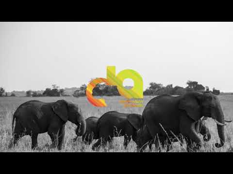 Nina Alexis - Pretty Mama Ft  Risky (Prod  by FiveOhh)