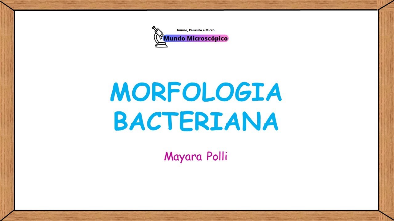 MORFOLOGIA BACTERIANA: Quais são as Principais Formas das Bactérias?