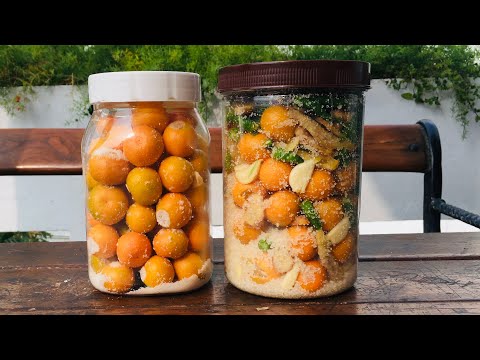 download lagu mp3 mp4 Chinese Orange Pickle, download lagu Chinese Orange Pickle gratis, unduh video klip Chinese Orange Pickle