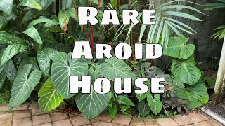 Rare Aroid House Anthurium Philodendron Begonia Alocasia Fairchild Gardens Miami