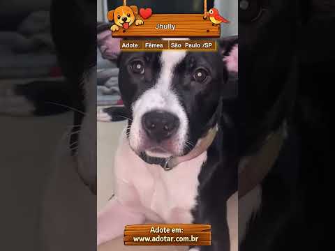 Vídeo de Jhully