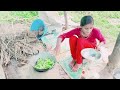 Village Cooking Video Gaow Me Din Ka Khana Kiya Banate है नीलम निगम