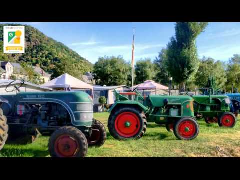 Short Trip with Fischer E-Bike