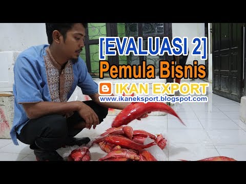 download lagu mp3 mp4 Tips Usaha Hasil Laut, download lagu Tips Usaha Hasil Laut gratis, unduh video klip Tips Usaha Hasil Laut