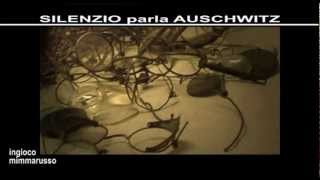 preview picture of video 'Auschwitz MEGLIO CIECHI'